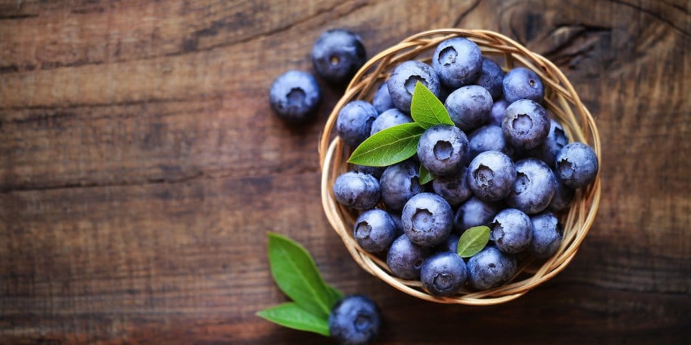 Recettes Aux Myrtilles