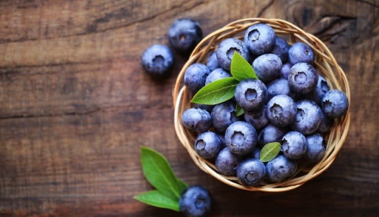 Recettes Aux Myrtilles