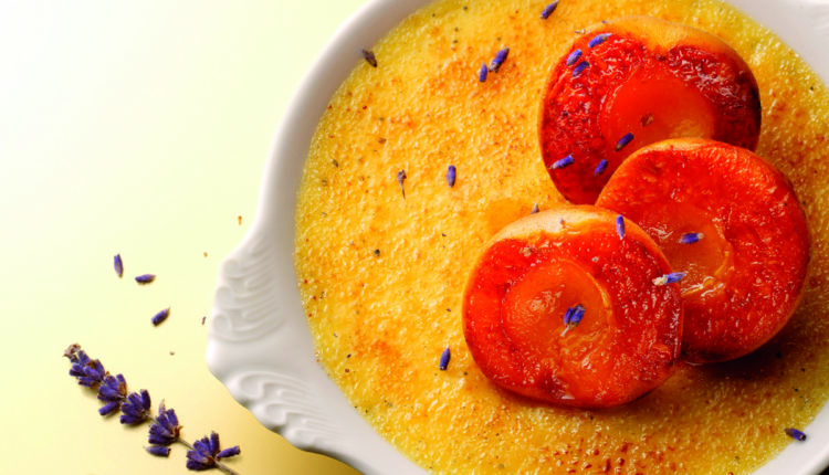 D10_DUCHENE_CREME-BRULEE-1200×790