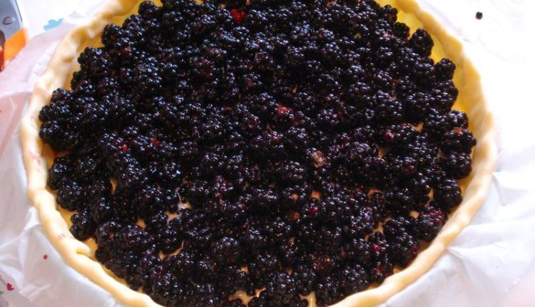 Tarte- chocolat- mûres- facile