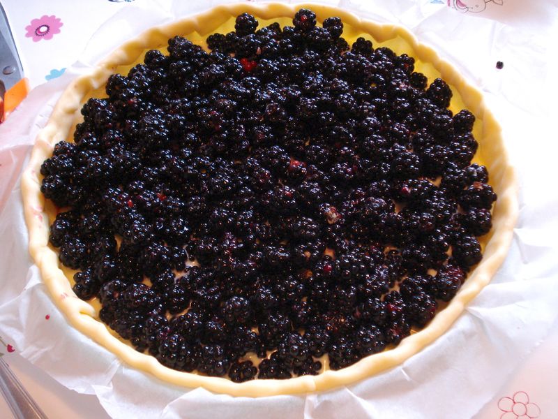 Tarte- chocolat- mûres- facile
