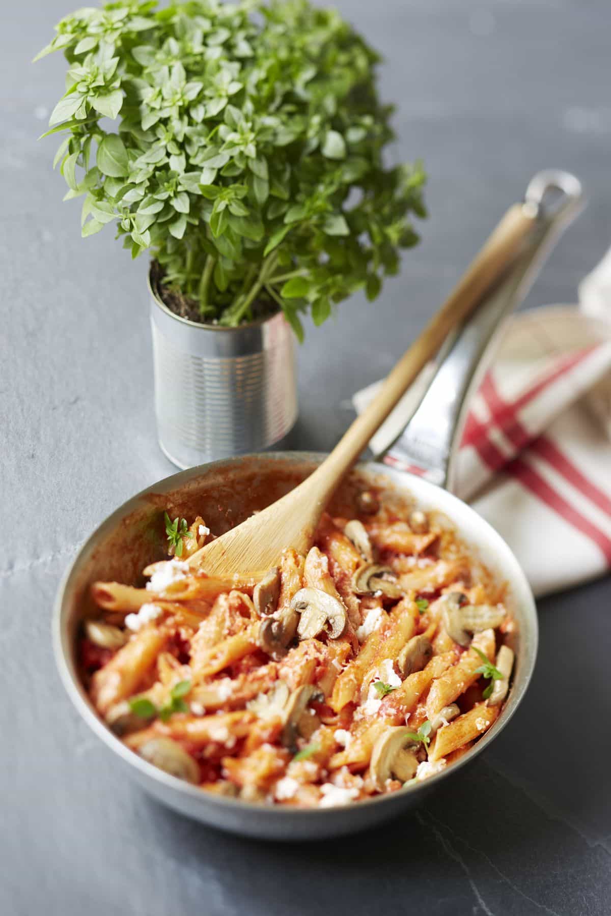 Penne-à-la-tomate-champignons-et-ricotta